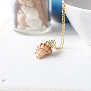 Conch Shell Pendant Necklace