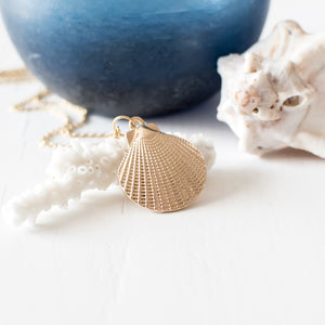 Large Shell Necklace